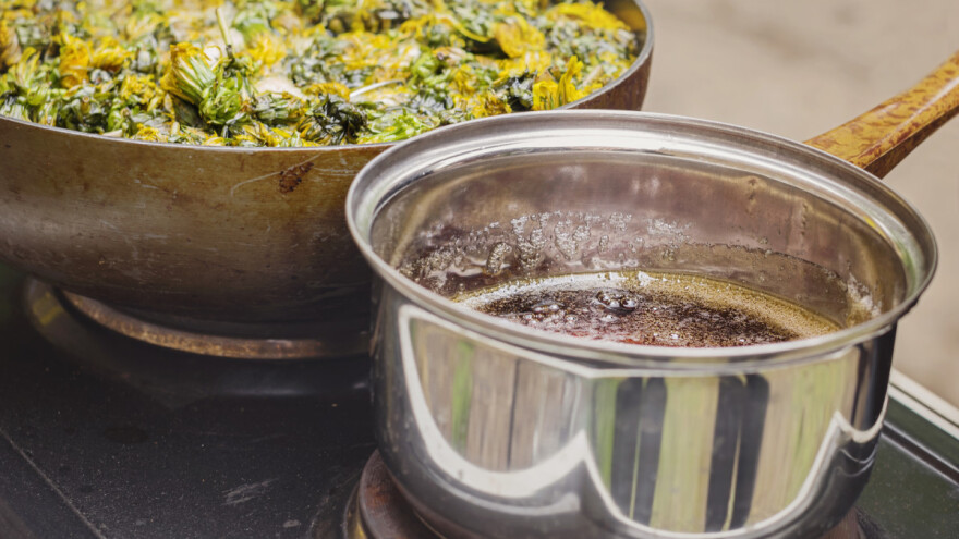 Ljekoviti med od cvjetova maslačka - kako ga pripremiti