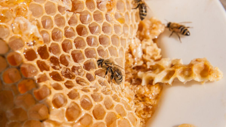 Med je treći proizvod u svijetu koji se najviše patvori