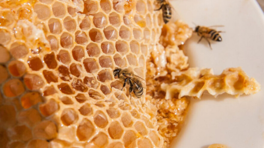 Med je treći proizvod u svijetu koji se najviše patvori