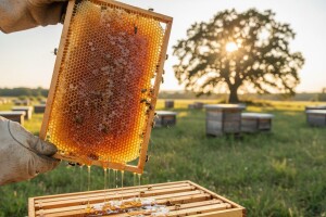 Med važan županijski brend