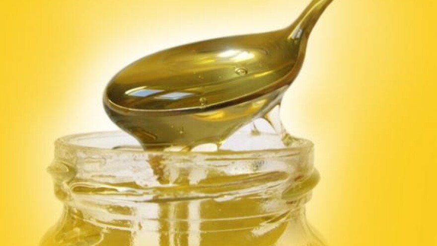 Ocjenjivanje sortnih vrsta meda u Bilju