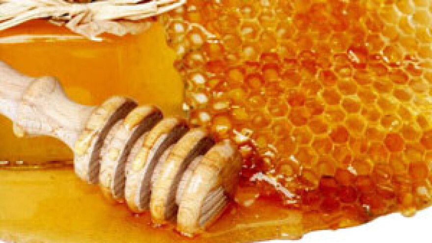Rekordna proizvodnja i otkup meda