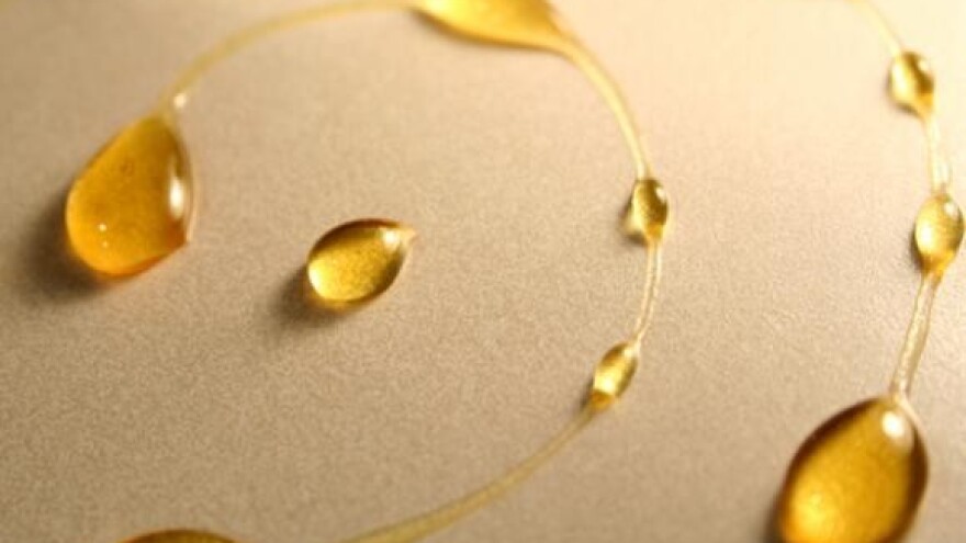 Europska unija šansa je hrvatskih pčelara