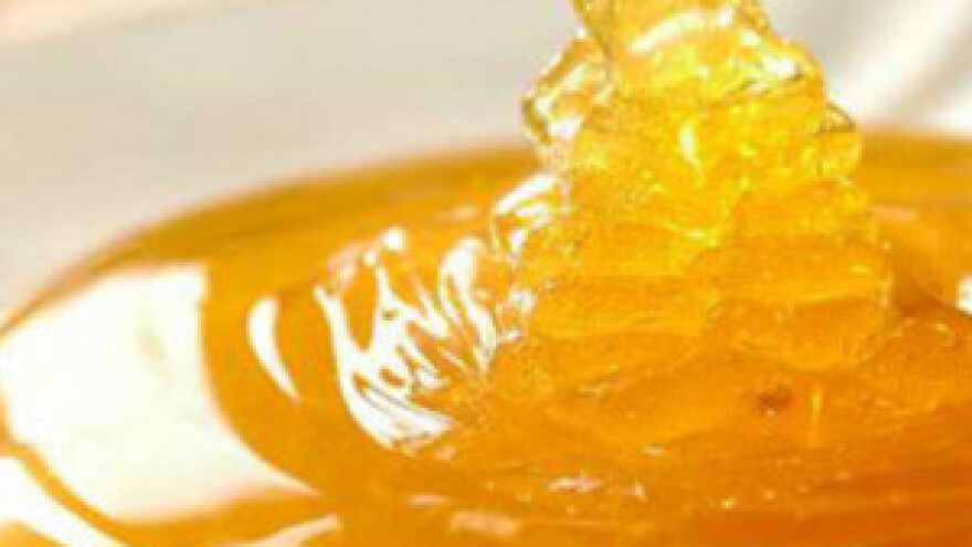 Zaštita dalmatinskog meda