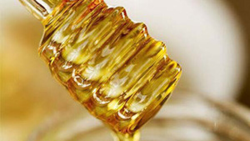 Vrijeme naškodilo pčelama