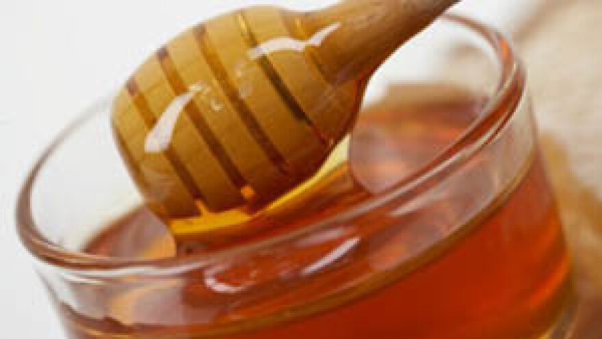 Održano ocjenjivanje meda, kupina i kupinova vina