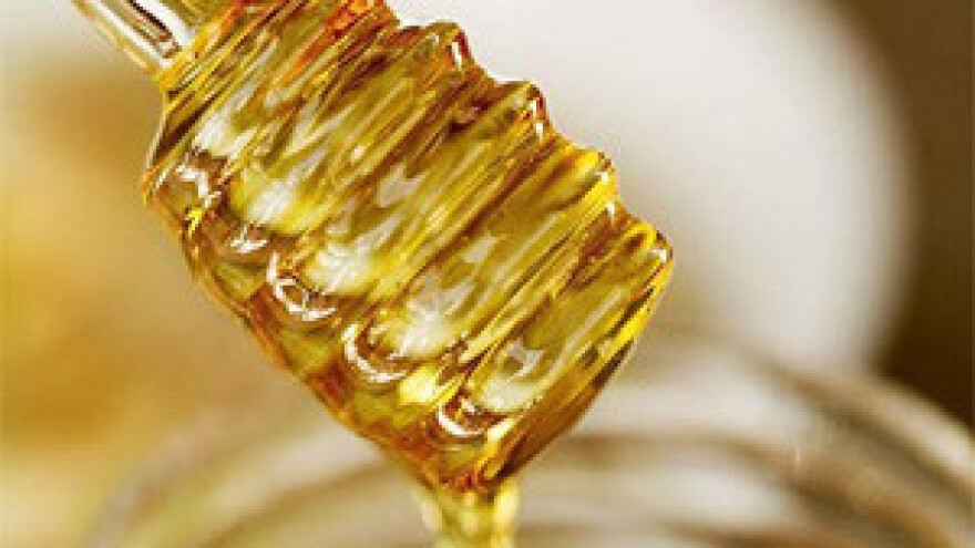 Osjetno smanjena proizvodnja meda