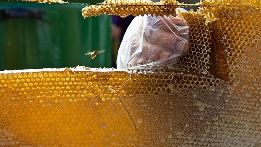 Zemlja kvalitetnog meda - kojega je sve manje!