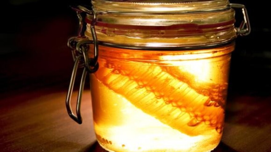 Ocijenjeno 37 uzoraka pića od meda