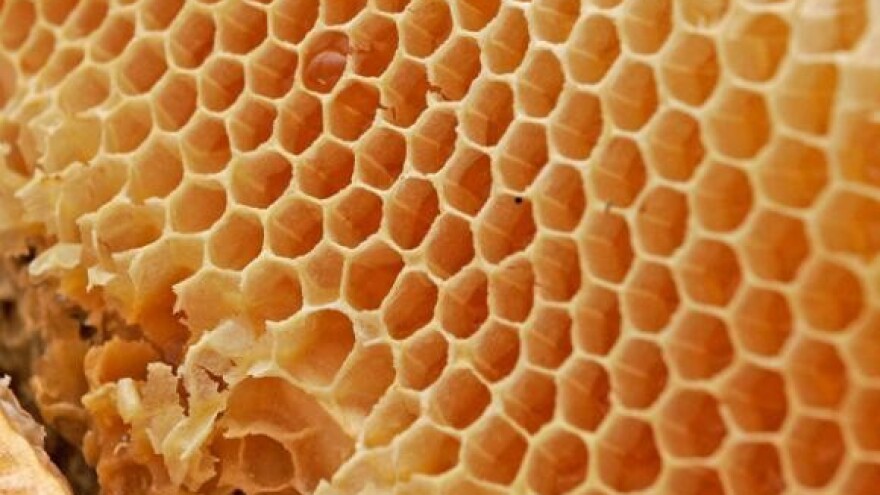 Pčelarski sajam u Garešnici