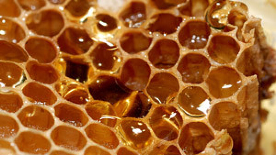 Pčelari s juga stvaraju "medni brand"