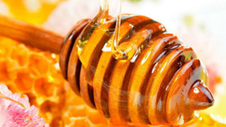 Može li med biti zagađen GMO-om?