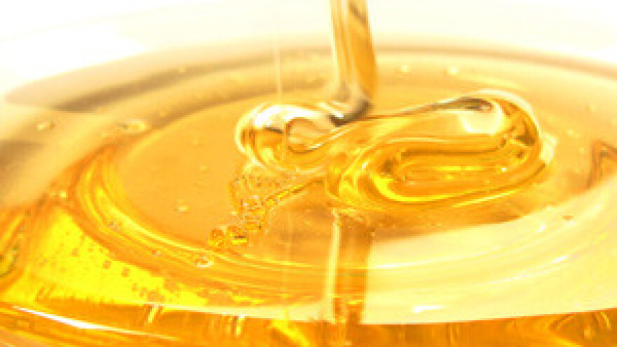 Ocjenjivanje kvalitete meda u Osijeku