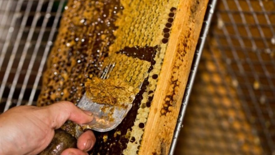 Laboratorijska kontrola uzoraka meda