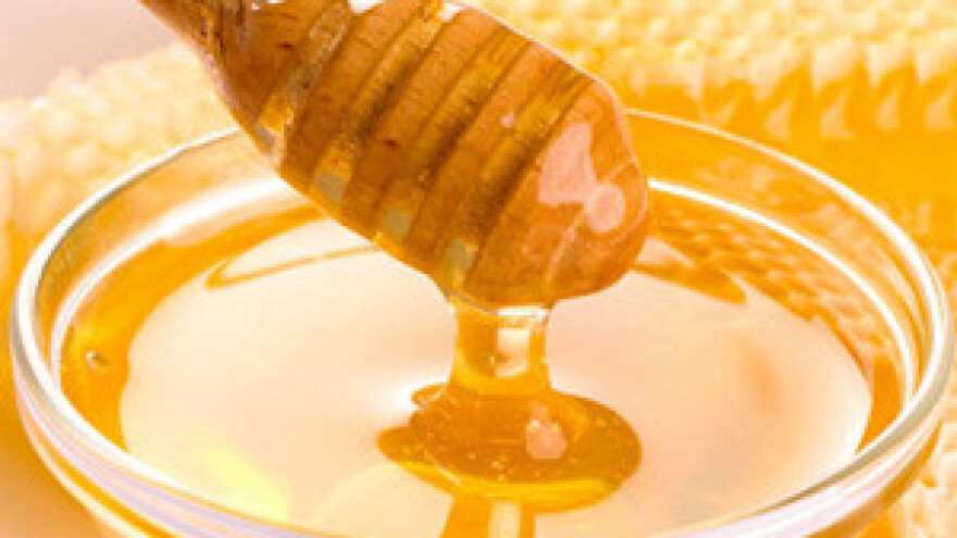 Bogat program Dana meda u Hrvatskoj