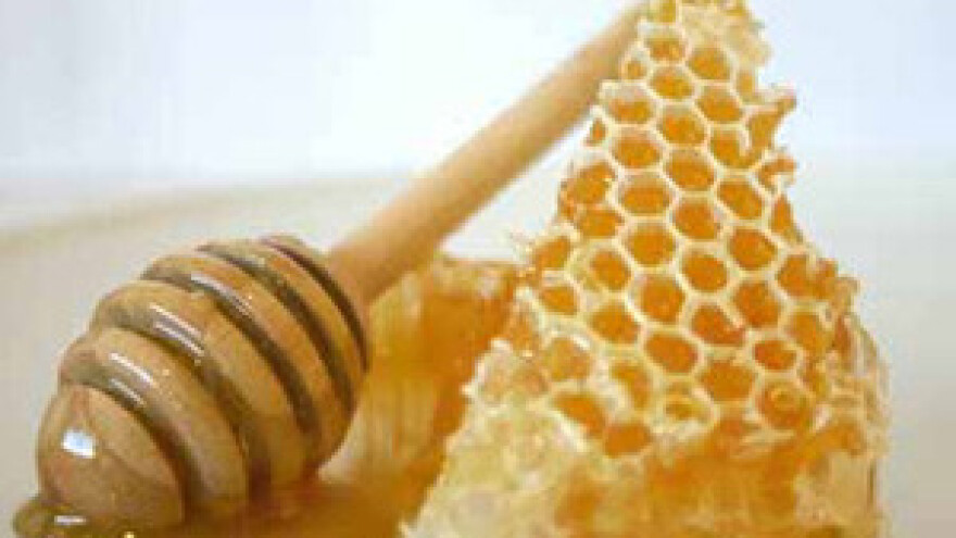 Hrvatski proizvođači meda najspremniji za ulazak u EU