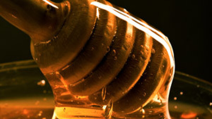 Jakovina na otvorenju 12. Dana meda u Topuskom