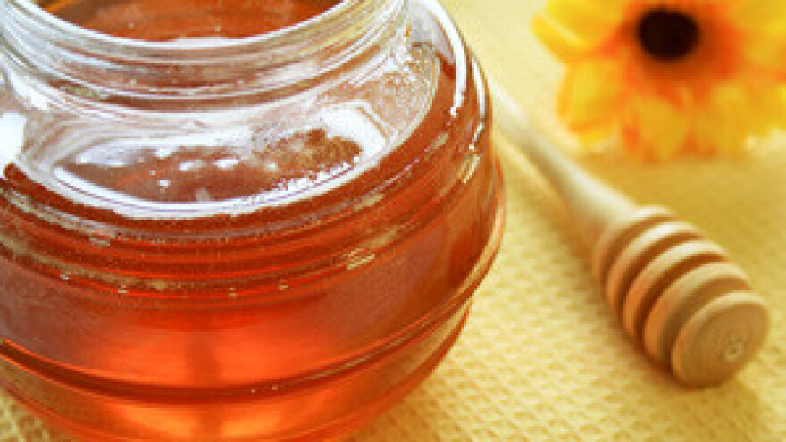 Bavljenje pčelarstvom nikada nije bilo teže i manje prihodovno