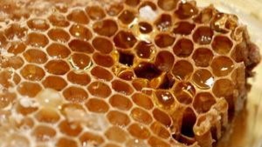 Bjelovarski sajam otvara u subotu sezonu sajmova pčelarskim sajmom