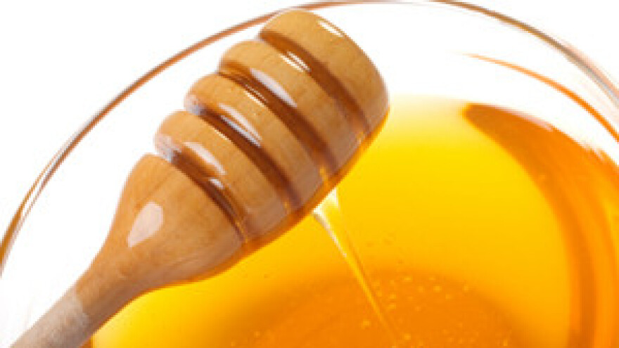 Ususret 3. međunarodnom pčelarskom sajmu Dalmatina