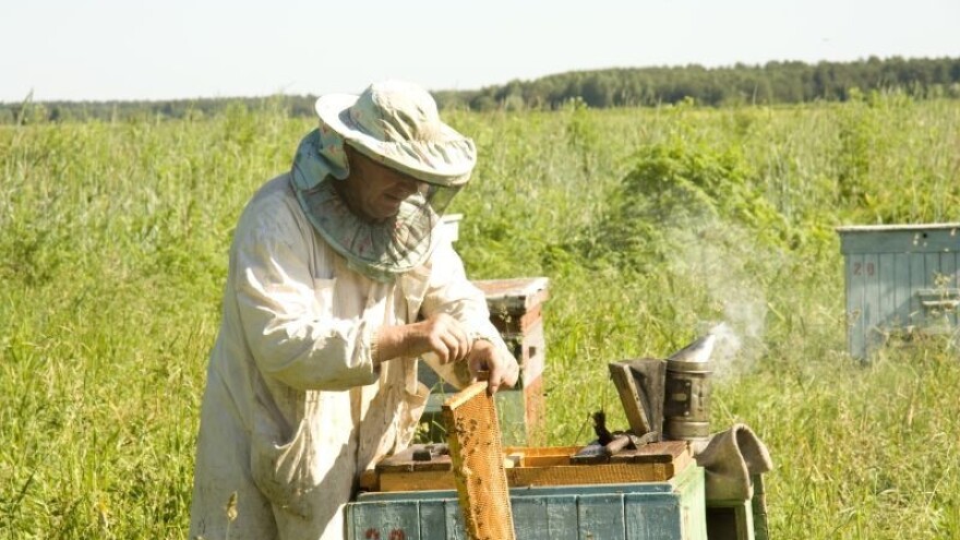 Proizvođači kreću u zaštitu Slavonskog meda!