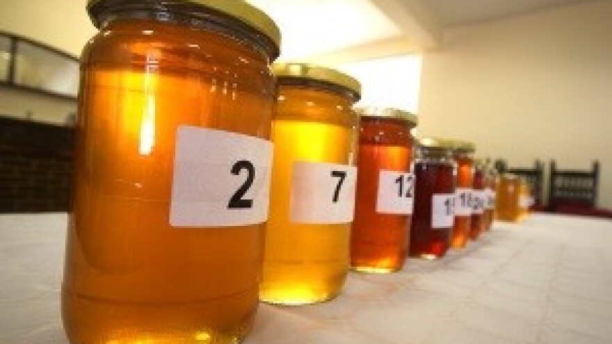 U Virovitici održano senzoričko ocjenjivanje uzoraka meda