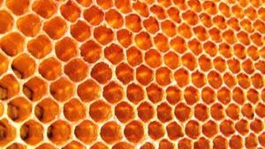 5. Samoborski medni dani 2013