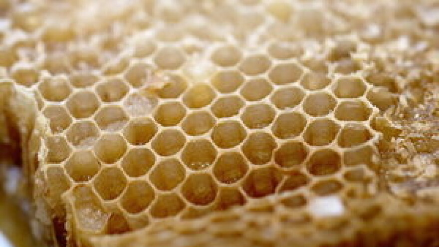 Čak 134 uzorka meda prijavljena na ocjenjivanje