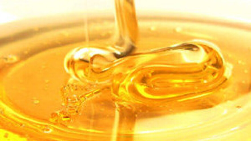 Otvorenje modernog pogona za punjenje meda