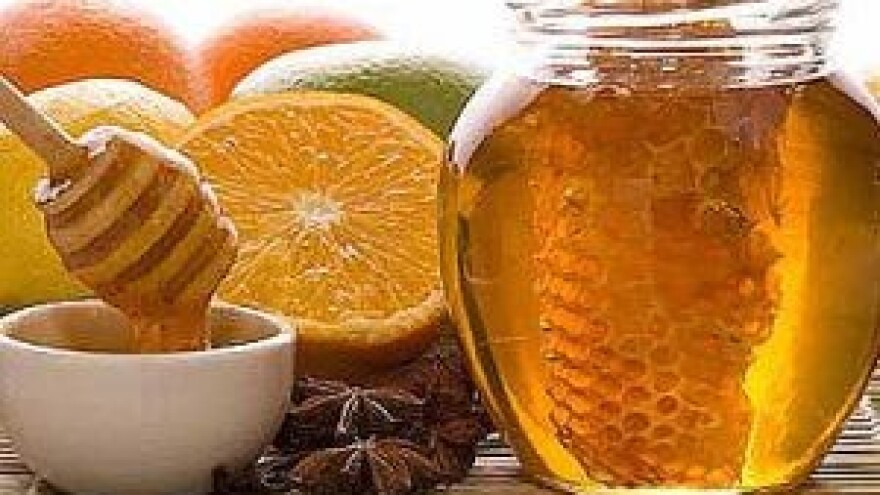 Dani pčela - Karlovac