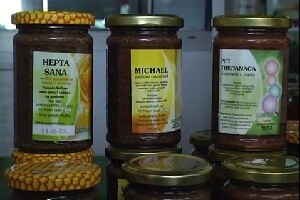Funkcionalni med za europsko tržište