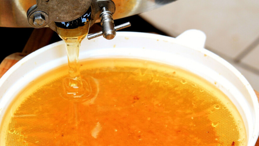 Cijena meda mogla bi rasti do 20 KM po kilogramu