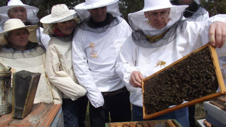 Početkom ljeta za cazinski med oznaka međunarodnog brenda?