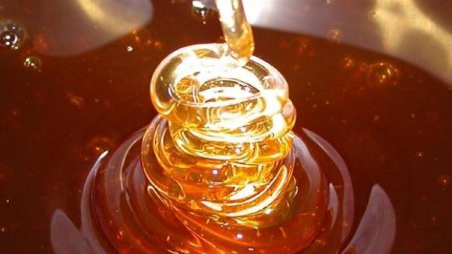 8. Dani meda u Zagrebu