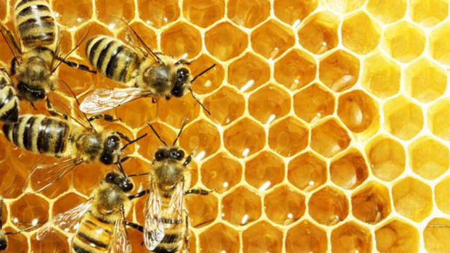 Izvori finansiranja pčelara u Srbiji