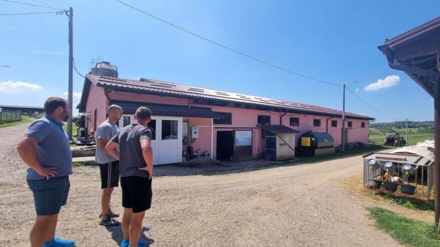 Mljekari pozvali na veću kontrolu uvoznih hraniva: I ove godine problemi s mikotoksinima