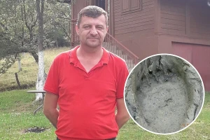Mrka medvedica u Pruscima usmrtila pet ovaca i dvoje jagnjadi