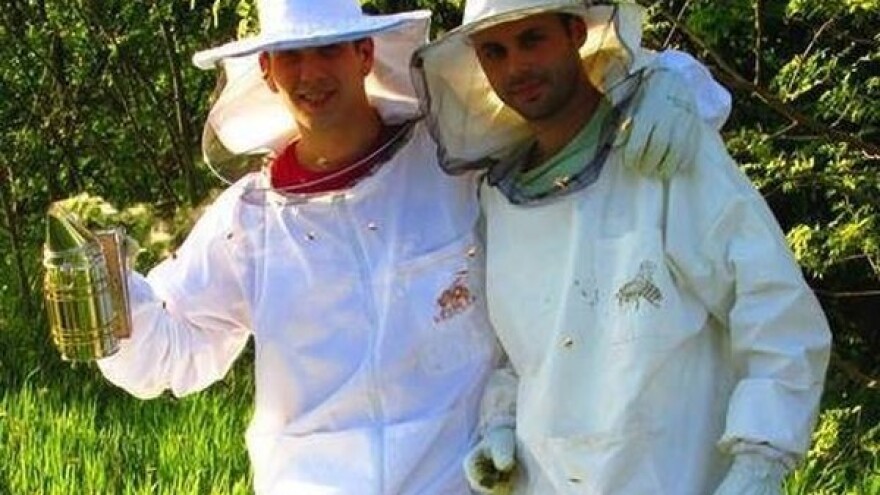 Košnice prave sami, a rojeve ne kupuju