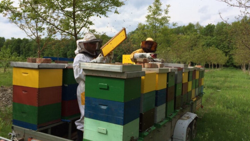 Županjci udružili snage i otvorili prvu Kuću meda