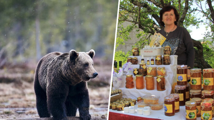 Medvjed je redovni posjetitelj OPG-a Šarar, nedavno im prevrnuo šest košnica