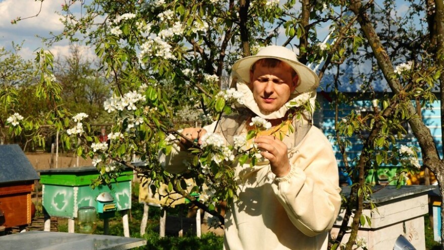 Medonosno drveće za bratunačke pčelare