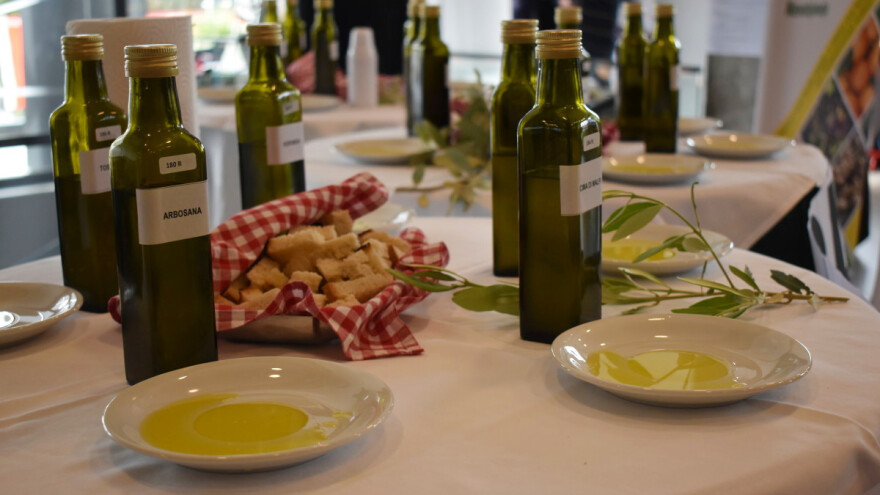Krajem mjeseca održava se jubilarni, 25. Noćnjak