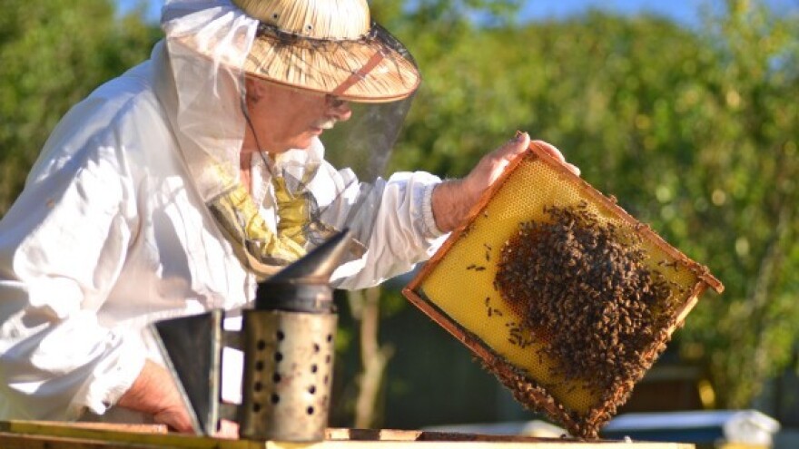 Međunarodni sajam pčelarstva u Beogradu