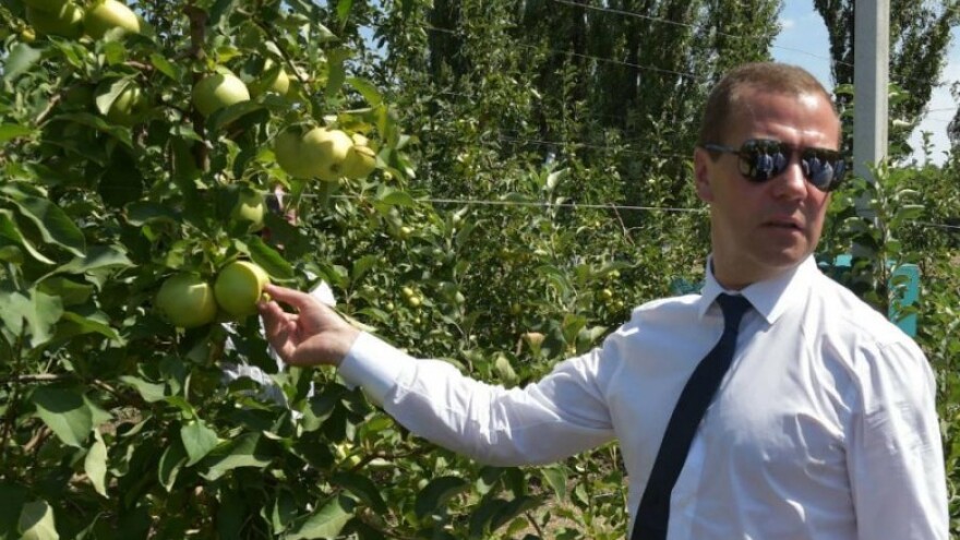 Rusija proširila zabranu uvoza na druge zemlje!