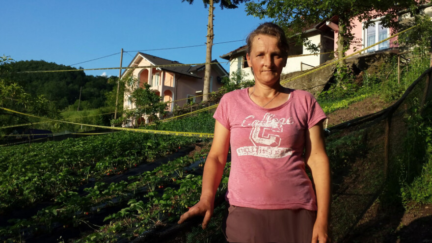 Pored rada u firmi odlučila se za uzgoj jagoda