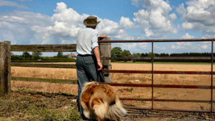 Jedan poljoprivrednik hrani 200 ljudi!