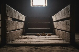 Merkantilnog krumpira u skladištima više nema!