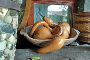 Da li znate značenje reči 'jandžik', 'vrljika' ili 'brav'?