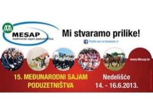 MESAP 2013.