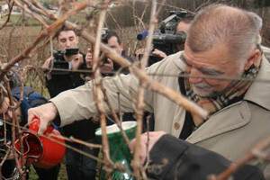 Mesić objesio kulen i kobasice o trsove